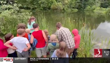 Vermont families trap, study turtles at Salisbury conservation event