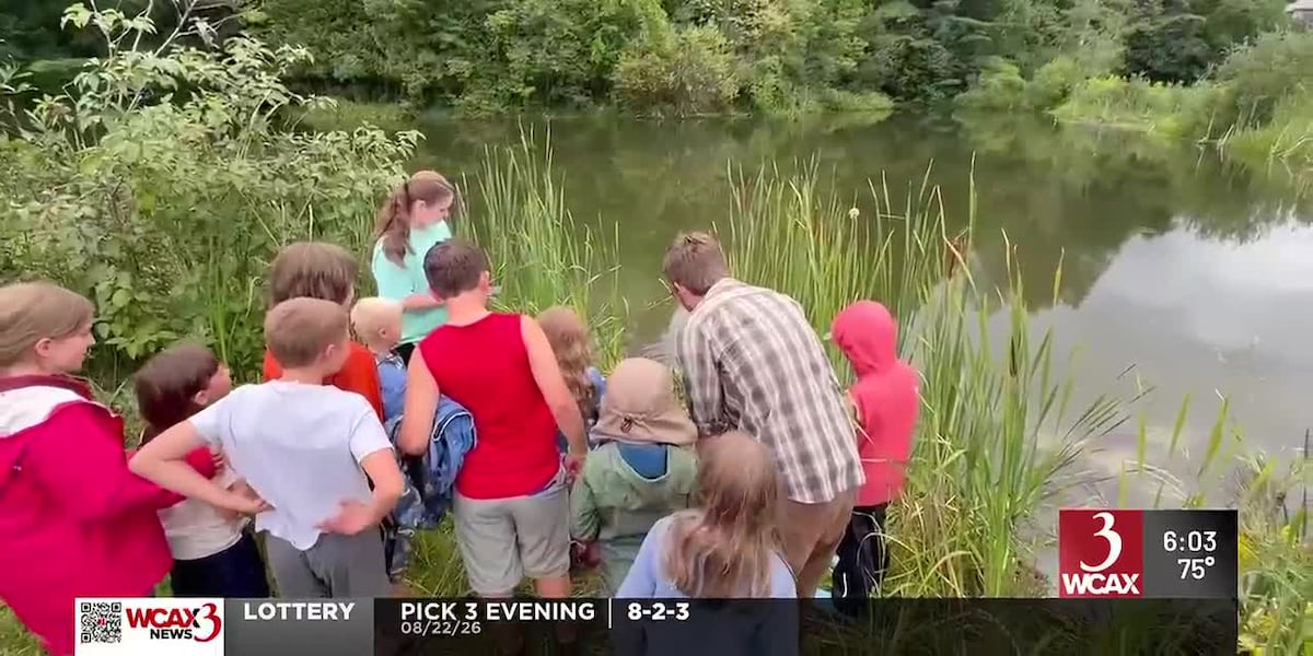 Vermont families trap, study turtles at Salisbury conservation event