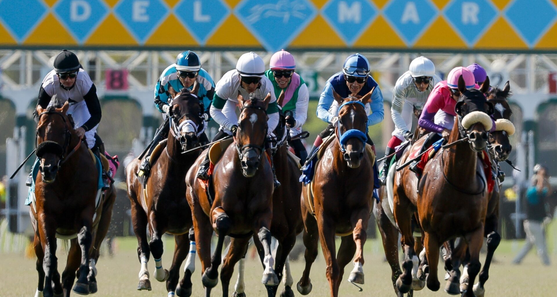 Del Mar consensus picks for Saturday, August 29, 2026 – San Gabriel Valley Tribune