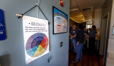 What families need to know about the free mental health services provided by Santa Cruz County public schools