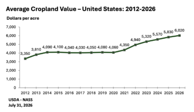US Cropland Tops $6,000 per Acre for First Time in 2026