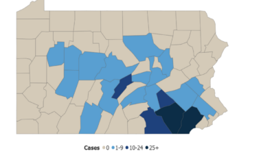 What to know about the measles outbreak in Centre County