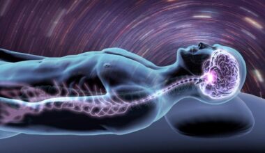 Sleep Dreaming Brain Spinal Cord Nervous System