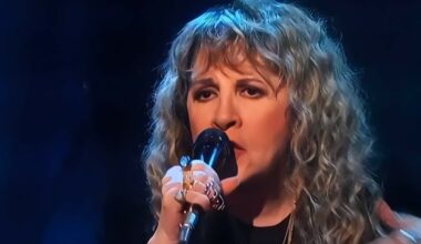 The modern singer Stevie Nicks said belonged in Fleetwood Mac