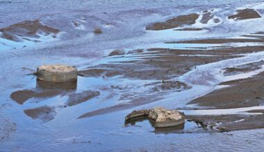 High E. coli levels in Arkansas River after sewage spill, Colorado officials say