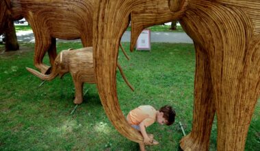 Max Hamel 3, was at the Great Elephant Migration, taking place on Commonwealth Avenue Mall in Boston on Thursday.