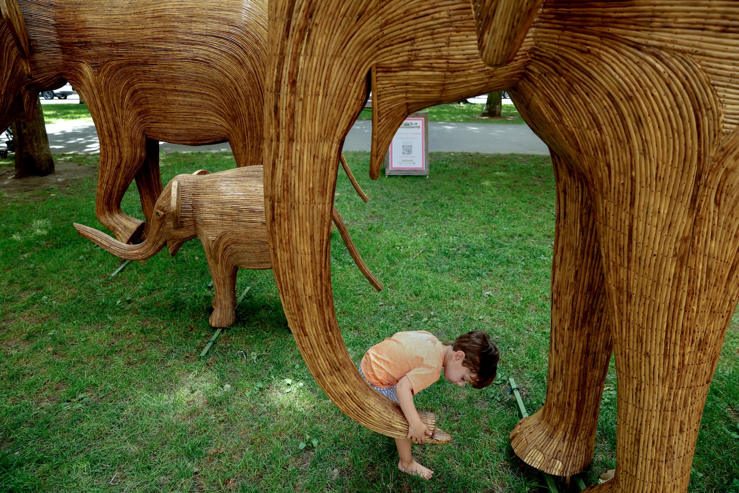 Max Hamel 3, was at the Great Elephant Migration, taking place on Commonwealth Avenue Mall in Boston on Thursday.