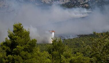 Europe’s wildfire crisis fractures as Greece evacuates and France guards megafire scar