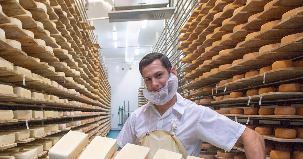 Canada trade deal: Why is the U.S. mad about who sells cheese in Canada? - CTV News