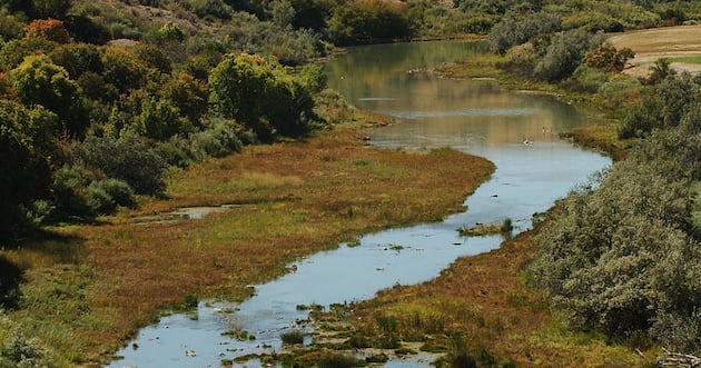 The DOI opened 90 million acres to hunters. Here’s the Utah angle – Deseret News