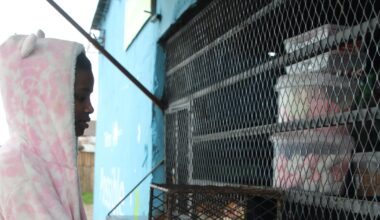 MOSHE KOLA | Townships are full of entrepreneurs but where are the factories?