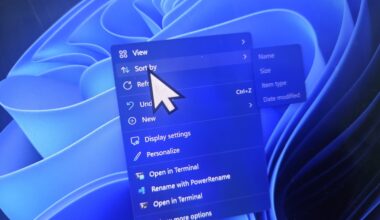 Windows 11 KB5120998 issue