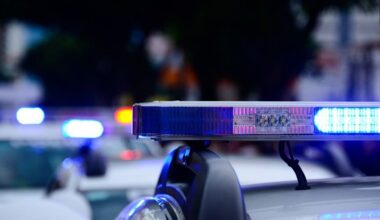 Couple arrested after allegedly breaking into Belle Rose home, attacking occupant, taking dog