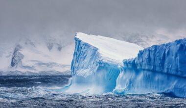 In 1977 Saudi Arabia towed an iceberg from Alaska to Iowa: years later, its Antarctica freshwater plan melted away