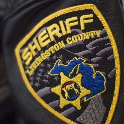 Bicyclist Struck on Grand River in Genoa Twp