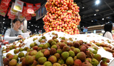 China's stable growth and steady price gains bolster global economy - news.cgtn.com