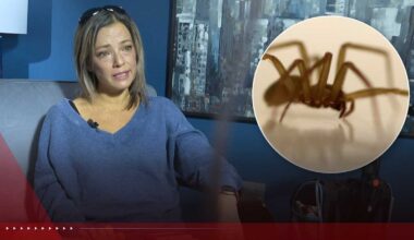 Mother of 4 fighting for her life after multiple spider bites during campfire