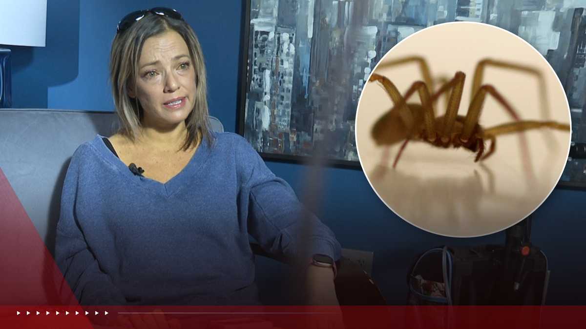Mother of 4 fighting for her life after multiple spider bites during campfire