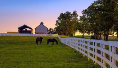 Kentucky is the second-most stressed state in the country, WalletHub report finds