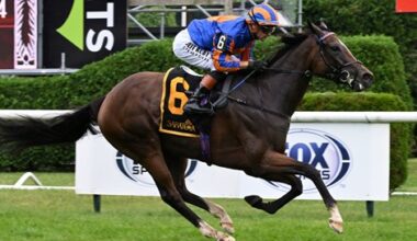 Survie Takes Glens Falls in United States Debut