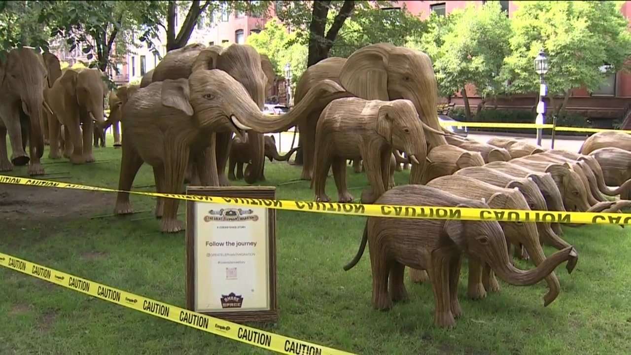 100 life-size elephant statues migrate to Boston as part of traveling art exhibit - Boston News, Weather, Sports