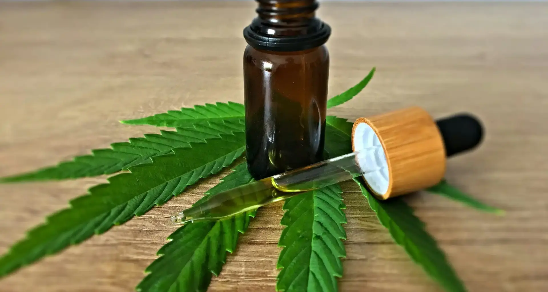 Medical Marijuana Improves Sleep Satisfaction And Boosts Quality Of Life, Study Shows