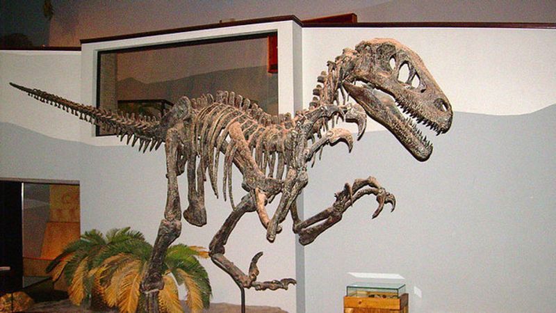 utahraptor.jpg