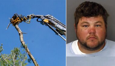Minnesota tree trimmer accused of killing coworker during equipment horseplay