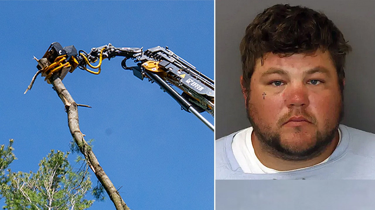 Minnesota tree trimmer accused of killing coworker during equipment horseplay