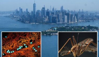First 2026 case of dangerous West Nile virus detected in NYC: officials