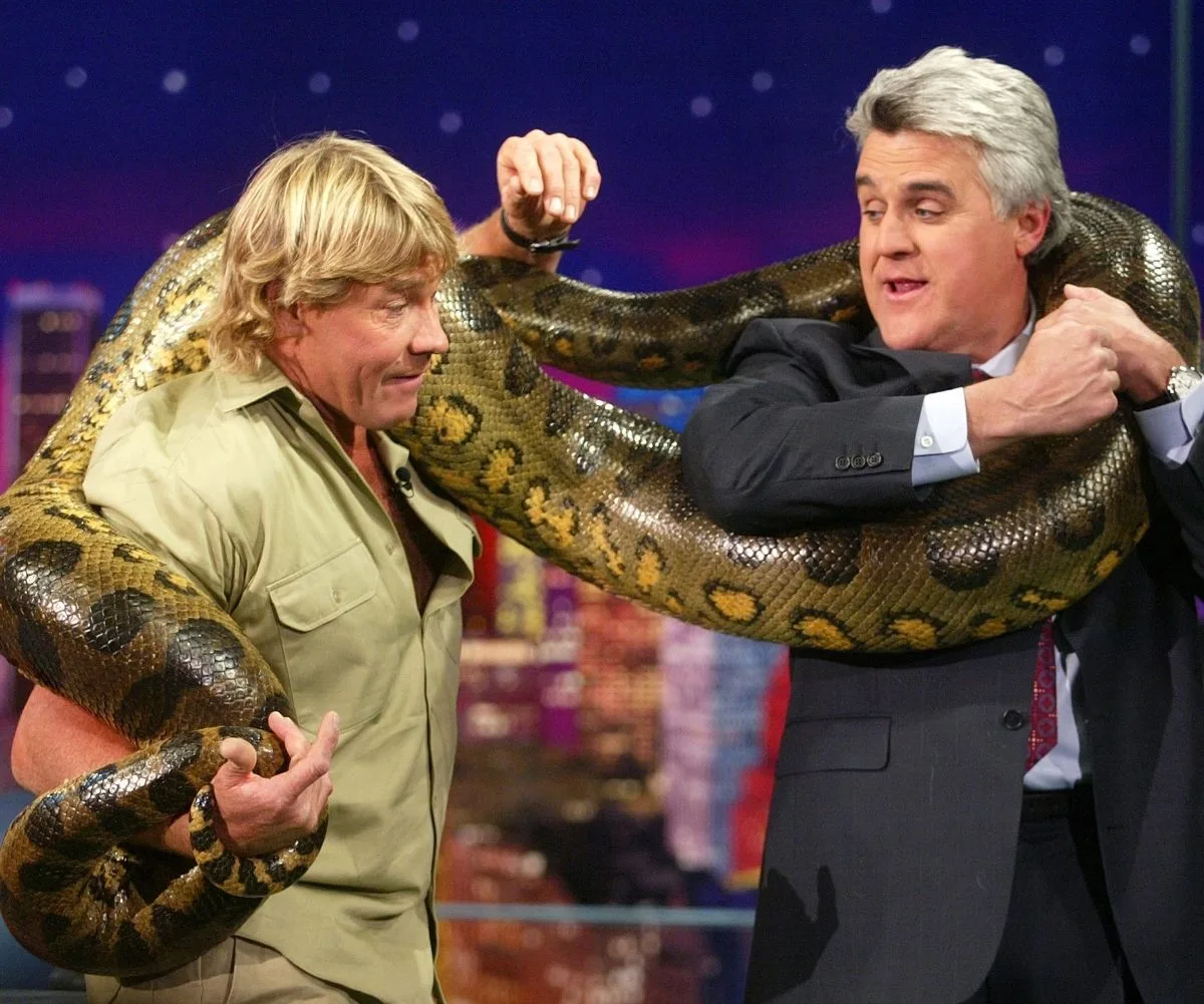 Steve Irwin on Jay Leno show 