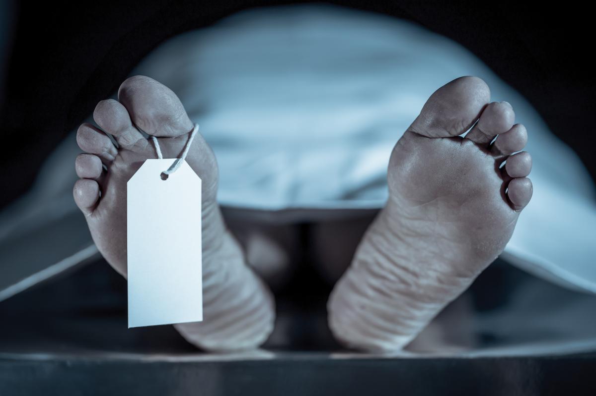 'World’s deadliest animal' kills more than 700K people a year