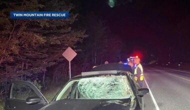 Twin Mountain, NH, crews respond to two crashes involving moose