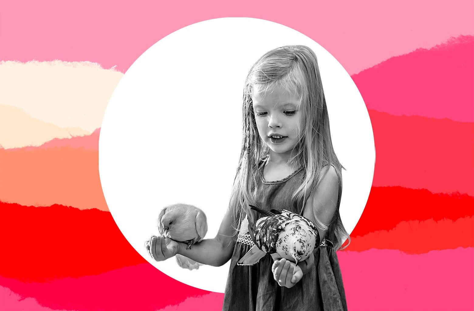 My Daughter Loves Pigeons. My Wife Wants to Keep Us Away From Them.