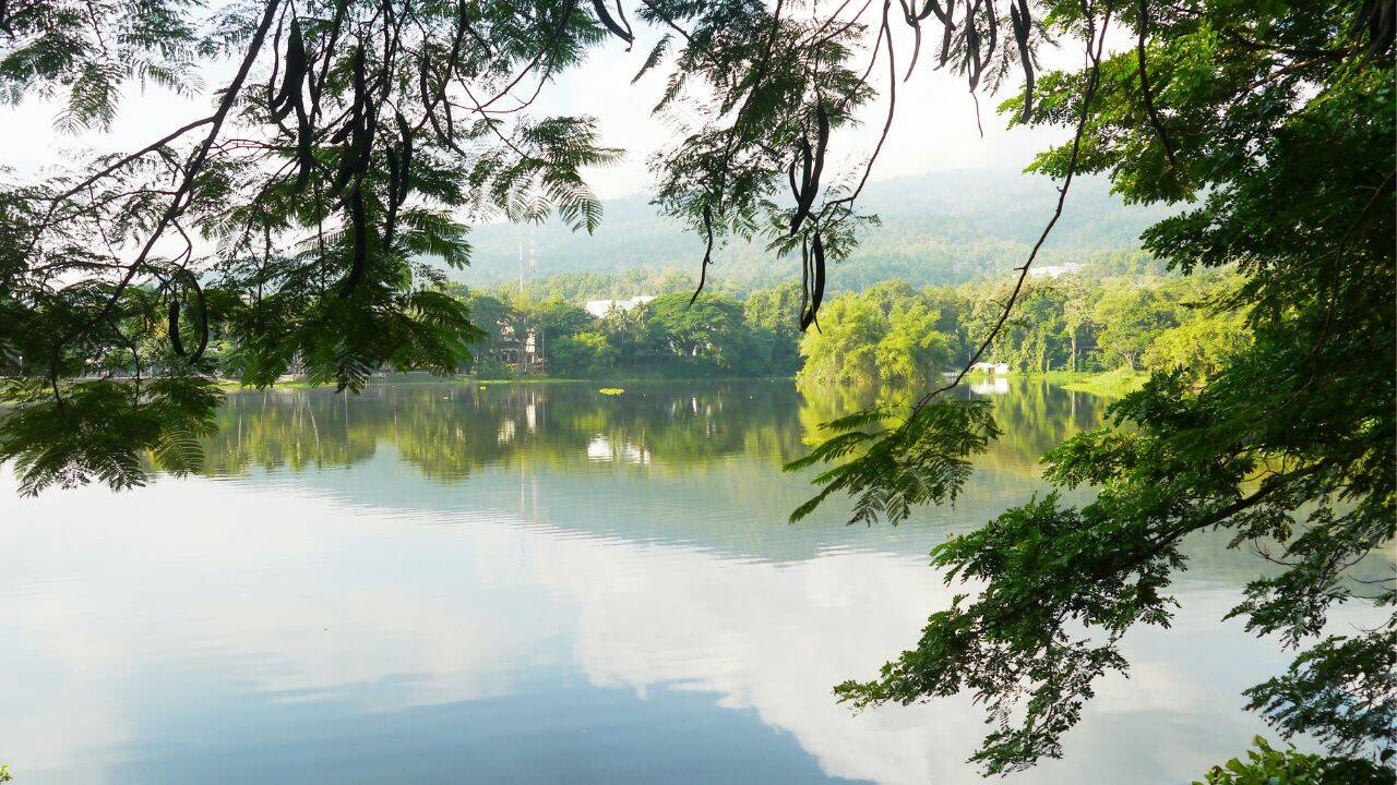 Delhi Yamuna (Canva) Delhi Yamuna