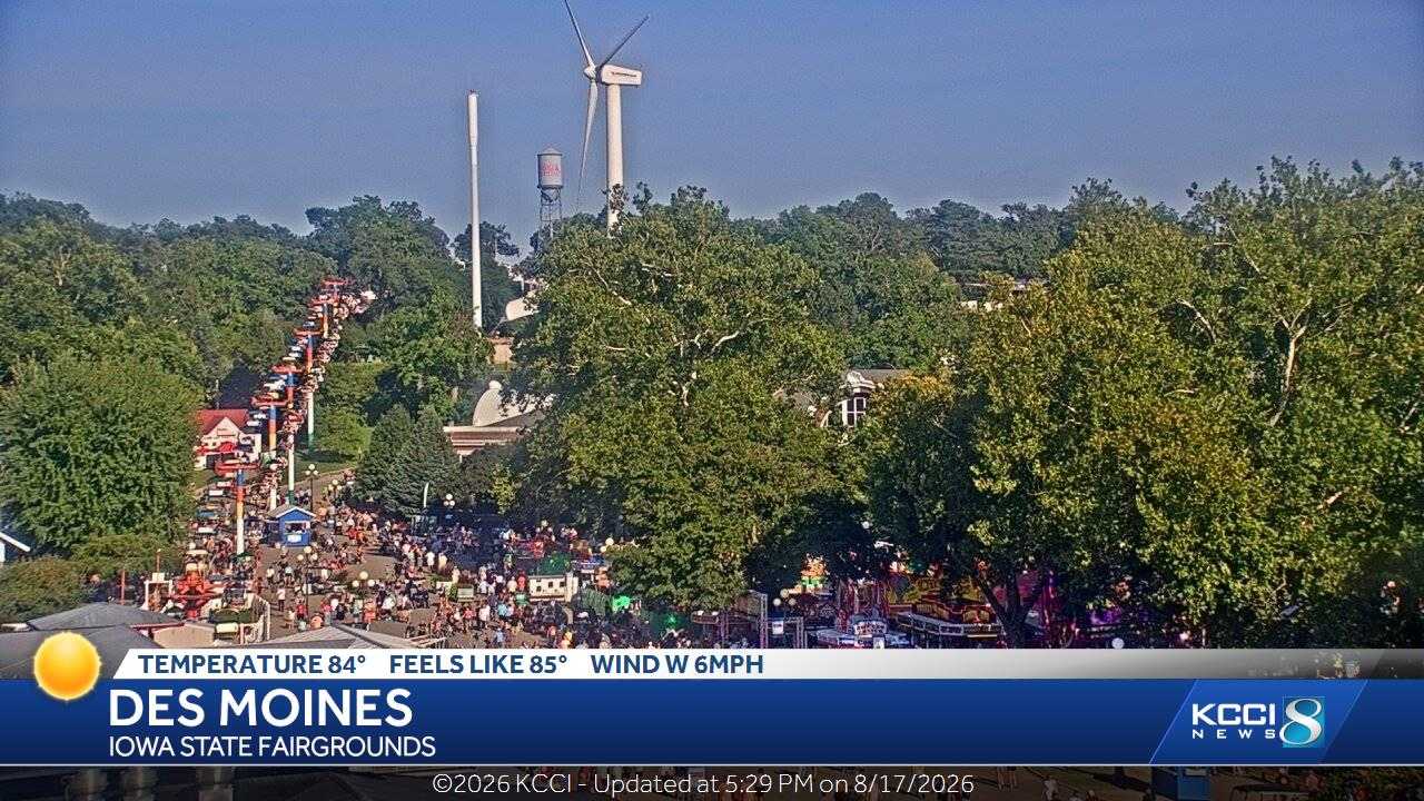 live camera image