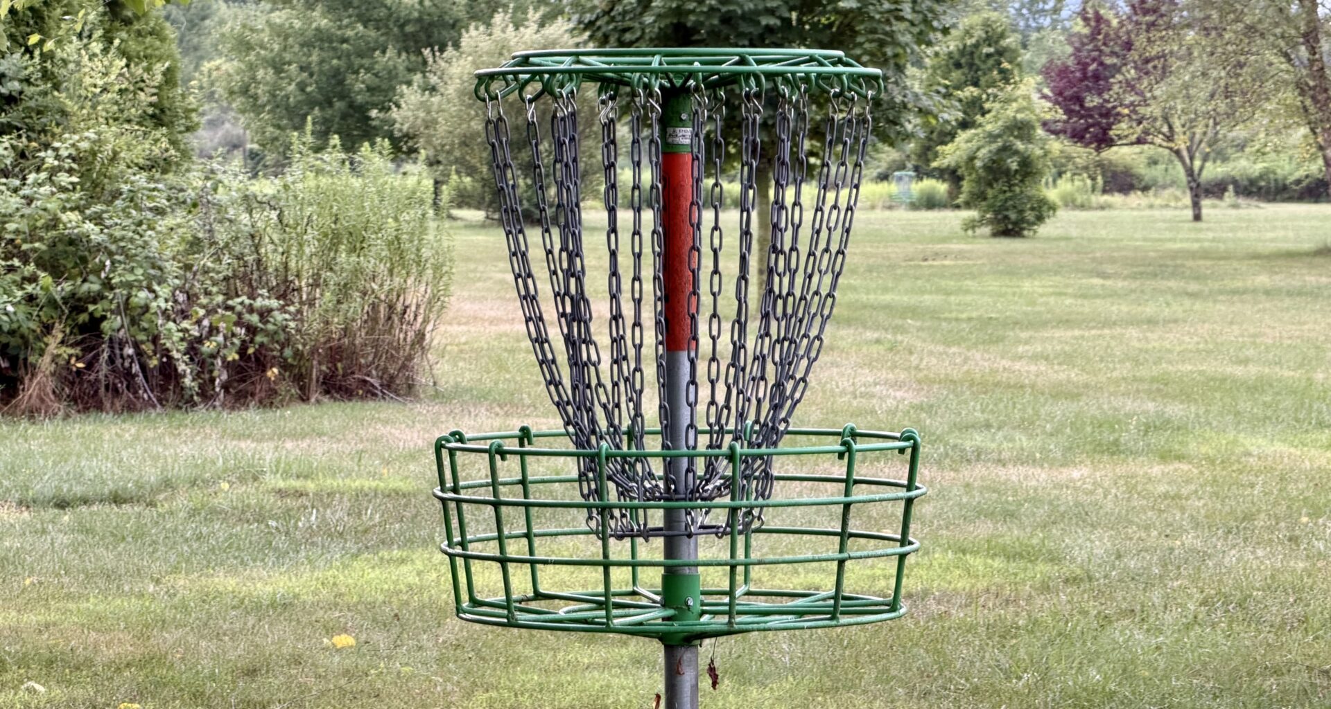 Williamsport man proposes Brandon Park disc golf course to council