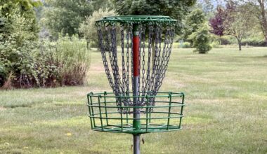 Williamsport man proposes Brandon Park disc golf course to council