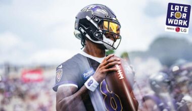 Baltimore Ravens logo