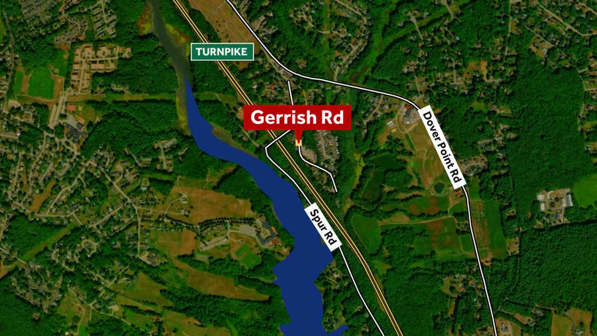 Two dogs found caged in Dover woods; animal neglect investigation underway