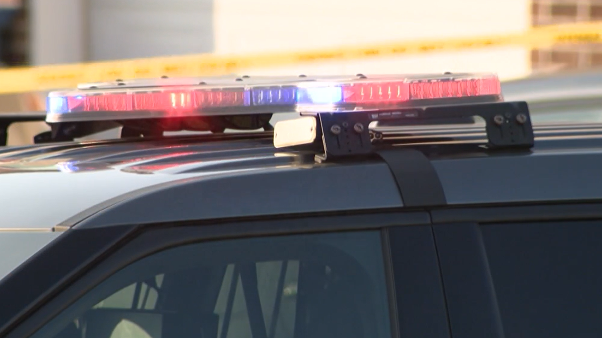 Person falls 50 feet on Peavine Island in York County