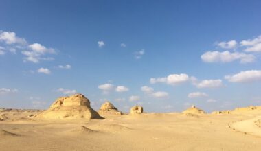 Evidence of Ancient Sharks Found Buried in the Egyptian Desert