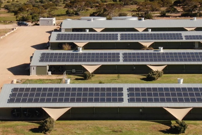 A view from above of solar panels on the roofs of big sheds.