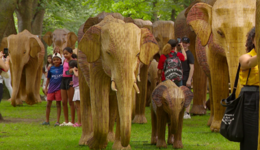 Why 100 elephant structures are in Boston, and where to find them