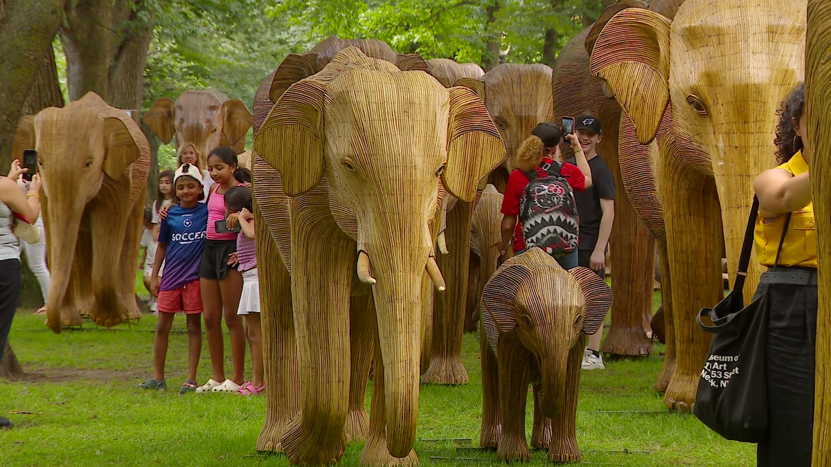 Why 100 elephant structures are in Boston, and where to find them