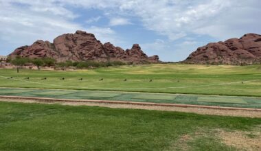 Proof of Life — This summer has made me question why I keep showing…