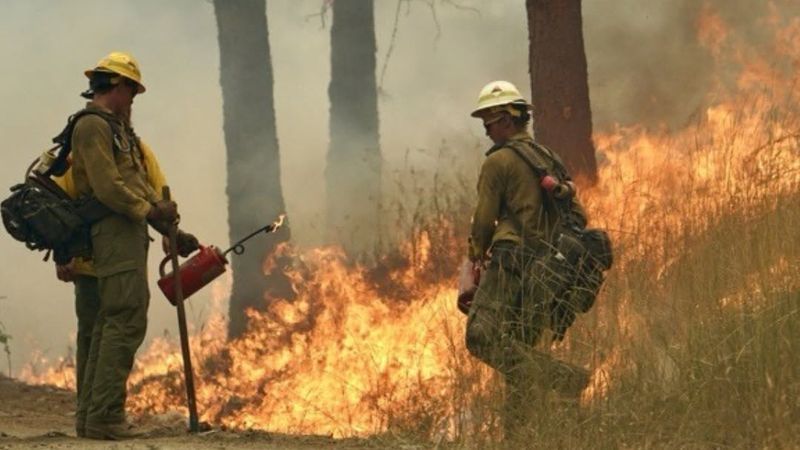 An image of a wildland firefighters fighting a wildfire in Washington state in July 2026. (Washington State Department of Natural Resources)