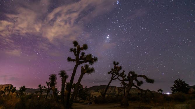 Northern Lights (Aurora Borealis) illuminate the sky above Joshua Tree National Park during the Perseids Meteor shower in Joshua Tree, California, early on August 12, 2024