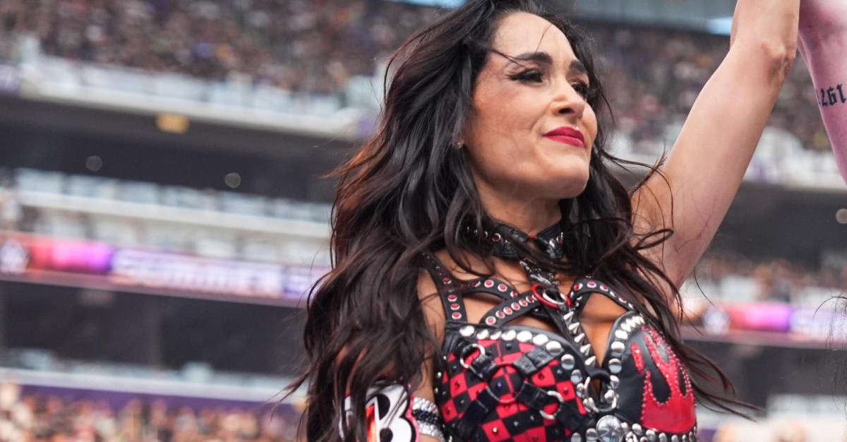 WWE confirms Brie Bella’s injured, and it ‘seems pretty bad’