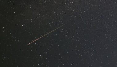 Perseid meteor shower reaches peak viewing on Wednesday night